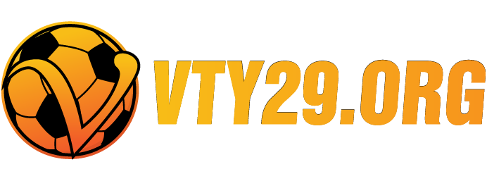 vty29.org